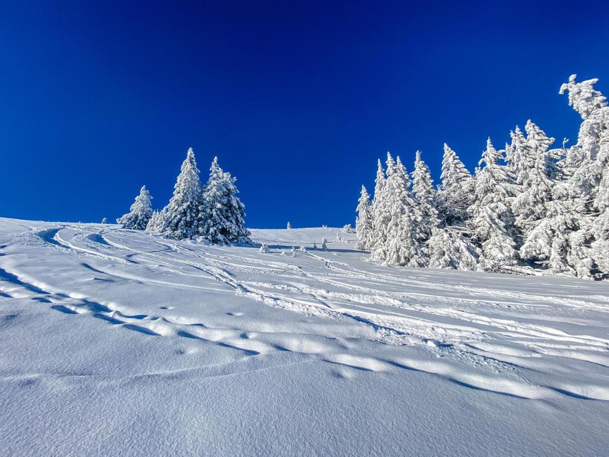 Ferienwohnungen Am Skilift Herrischried Exterior foto