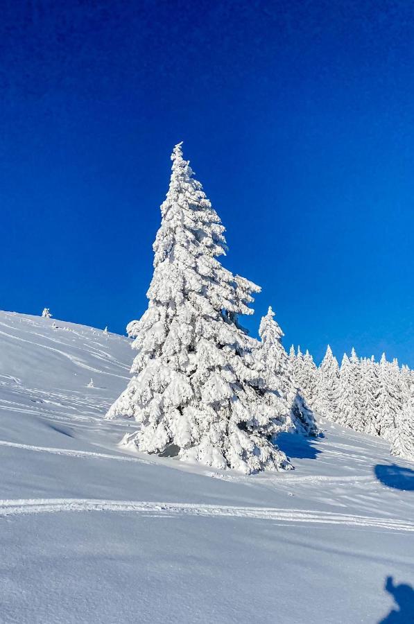 Ferienwohnungen Am Skilift Herrischried Exterior foto
