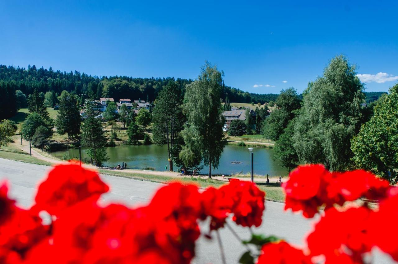 Ferienwohnungen Am Skilift Herrischried Exterior foto