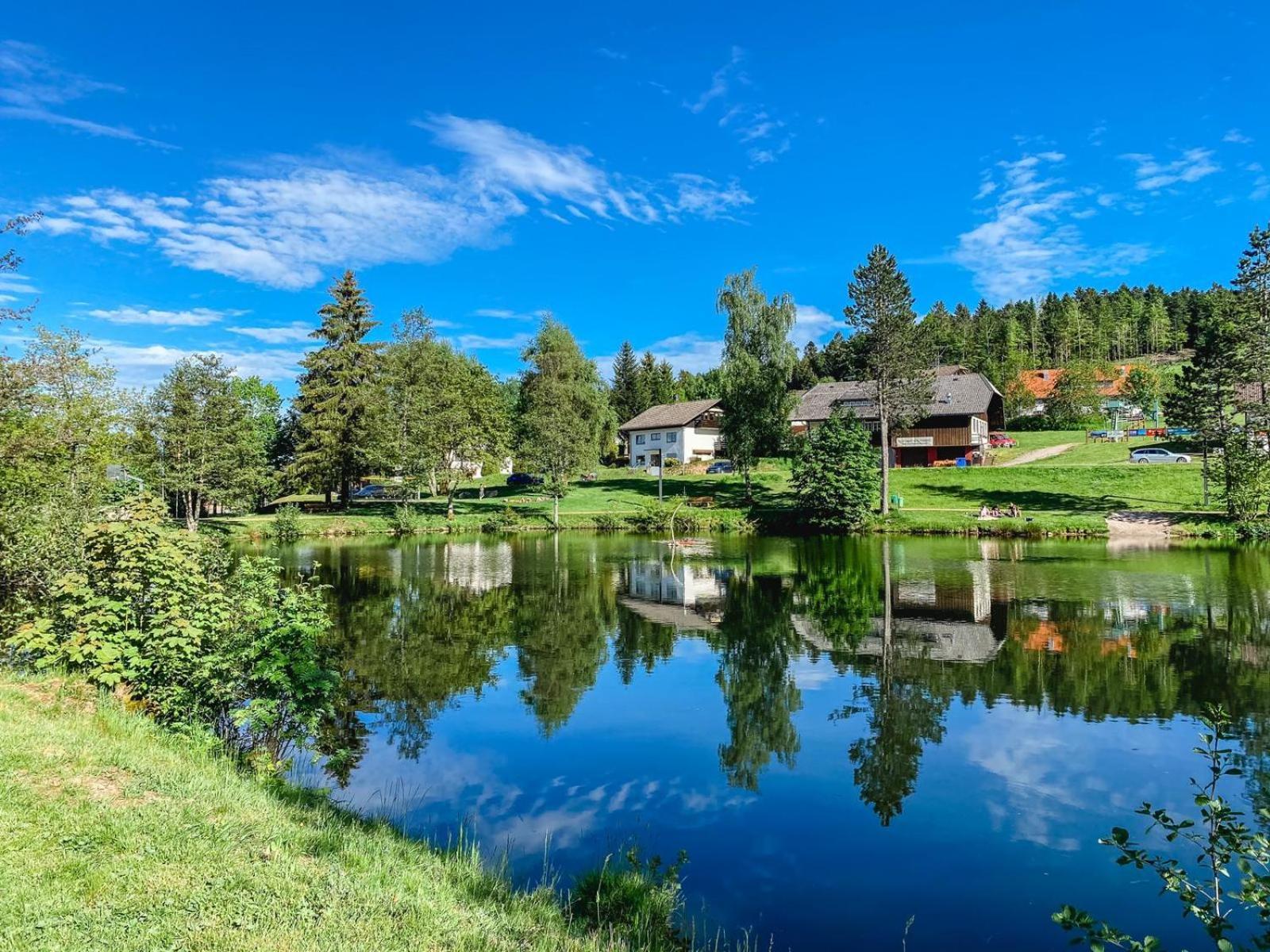 Ferienwohnungen Am Skilift Herrischried Exterior foto