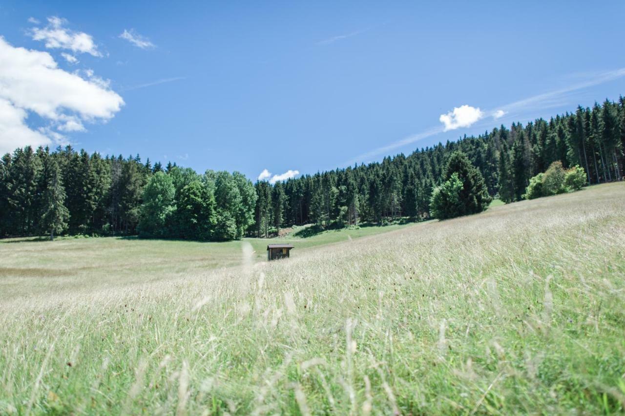 Ferienwohnungen Am Skilift Herrischried Exterior foto