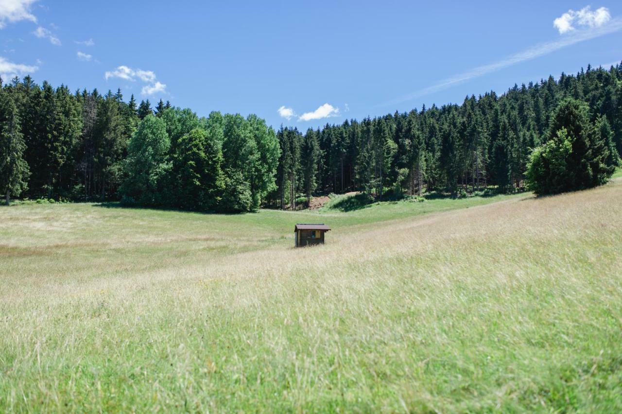 Ferienwohnungen Am Skilift Herrischried Exterior foto
