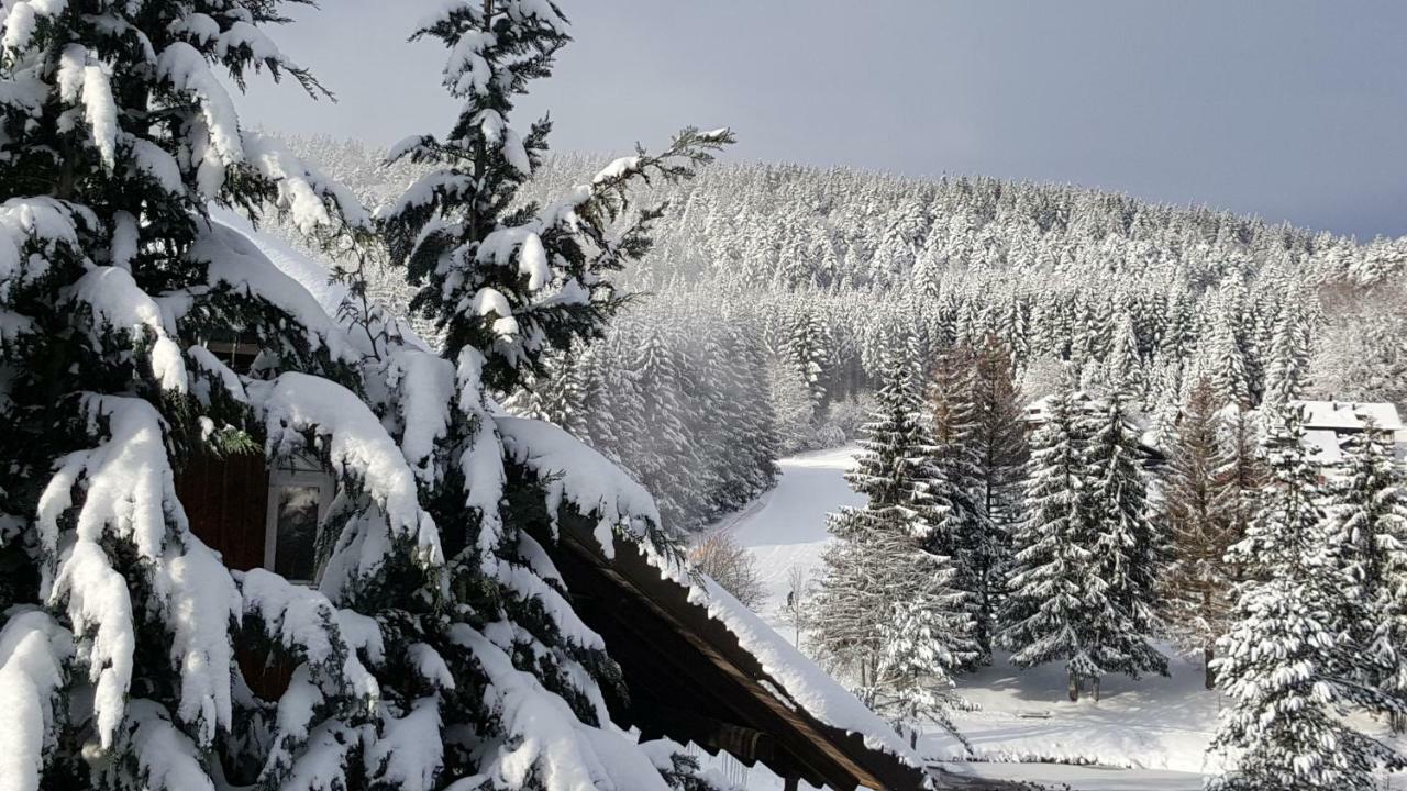 Ferienwohnungen Am Skilift Herrischried Exterior foto